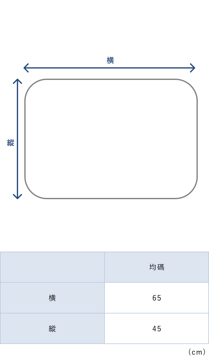 BAKUNE Pillow Pad 2P Cool